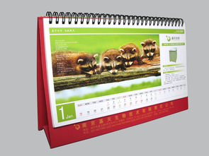 南京珠江路平面設(shè)計與廣告服務(wù)公司 專業(yè)的代理代辦解決方案